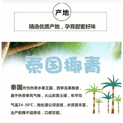 佳农泰国进口易开椰4粒量贩整箱装 约3.5kg图9