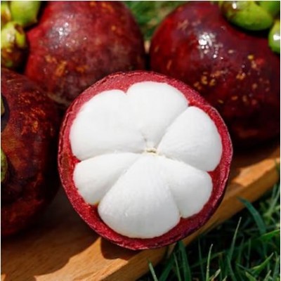 进口山竹 5A级大果 约2.5kg/件 125.90元图8