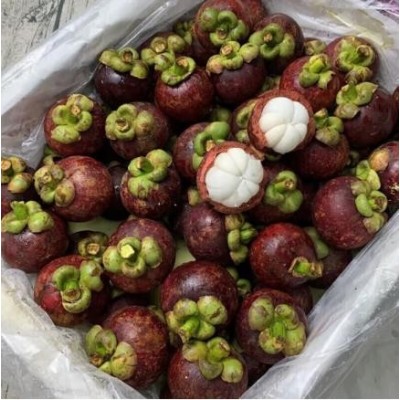 进口山竹 5A级大果 约2.5kg/件 125.90元图5