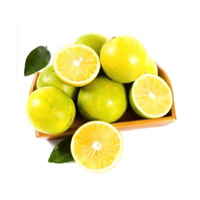 云南冰糖橙 单果120g约2.5kg/箱图3
