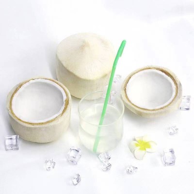 泰国椰青9个装 大果椰子/箱图4