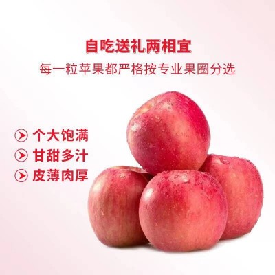 烟台红富士苹果12个礼盒   净重2.1kg图5