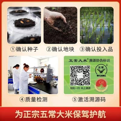 乔小美龙凤山五常稻花香大米千年水稻 百年贡米2.5kg图3