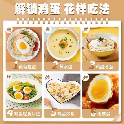 温氏鲜鸡蛋40枚鸡蛋礼盒谷物喂养/箱图3