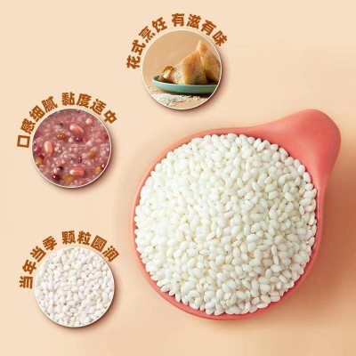 十月稻田糯米 土壤肥沃 圆粒糯米 色泽乳白1kg/袋图5