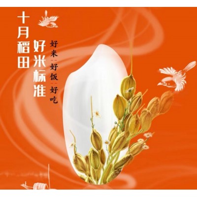 十月稻田生态长粒香大米5kg/袋图4