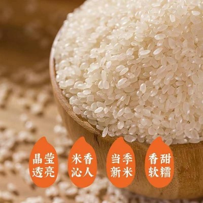 袁隆平大米圆粒香米 耐盐碱助农特别款 米香沁人2.5kg/袋图5