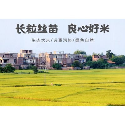万年贡丝苗王大米 长粒丝苗 良心好米10kg/袋图5
