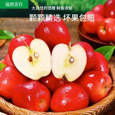 东北鸡心果5斤/盒装图3