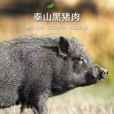巴夫巴夫泰山黑猪肉棒骨2.5kg图3