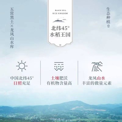 三町五稻生态五常稻香米 五常大米 口感香甜软糯5kg/袋图6
