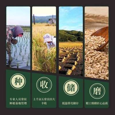 三町五稻五常大米 纯正原香米中贵族5kg/袋图6