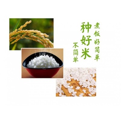 苏垦水晶米晶莹剔透 饭香诱人 香甜弹牙5kg/袋图6