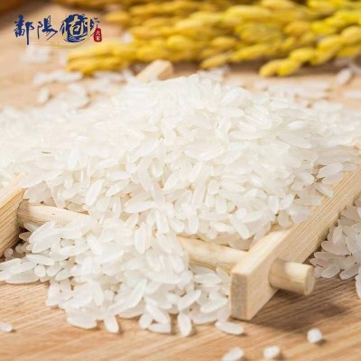 鄱阳湖茉莉香米软香南方长粒香米10kg/袋图5