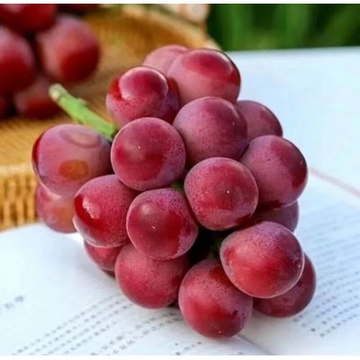妮娜皇后葡萄5斤盒装图3