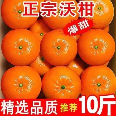 广西南宁正宗沃柑 9-10斤/箱图4