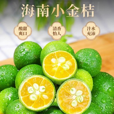 海南小青橘 生鲜水果 源头直达 5斤/盒装图5