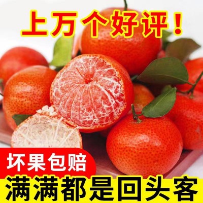 广西沙糖桔 9斤/箱图4