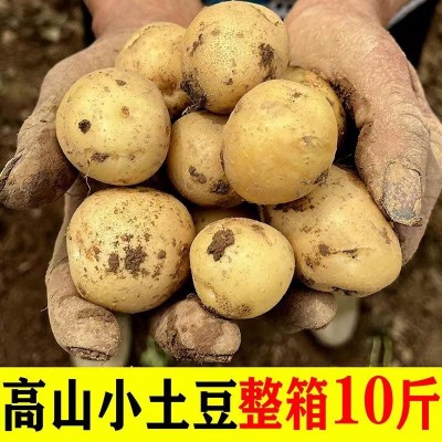 恩施 新小土豆10斤/袋装图6
