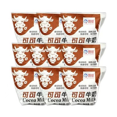 海河可可牛奶 220ml*10包 整箱装图2