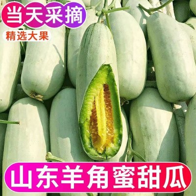 羊角蜜瓜角蜜甜瓜脆甜香瓜当季新鲜水果  5斤/箱图2