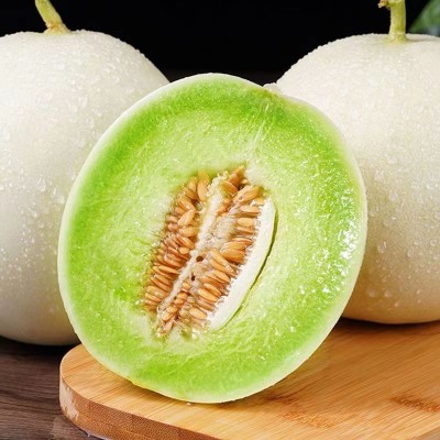 玉菇甜瓜蜜瓜新鲜水果奶香蜜瓜当季脆玉茹香瓜整箱送礼 精选好瓜10斤/箱图2