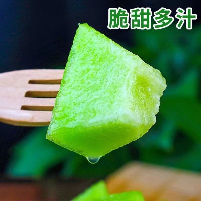 玉菇甜瓜蜜瓜新鲜水果奶香蜜瓜当季脆玉茹香瓜整箱送礼 精选好瓜10斤/箱图6