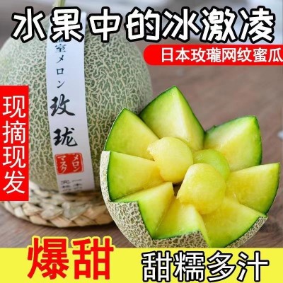 海南玫珑蜜瓜网纹瓜 5-6斤/箱图6