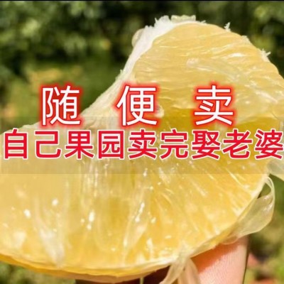 台湾黄金葡萄柚子爆汁现摘应季孕妇新鲜水果 8.6-9斤/箱图4