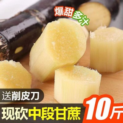 广西黑皮甘蔗 9-10斤/箱图3