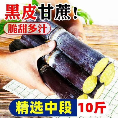 广西黑皮甘蔗 9-10斤/箱图4
