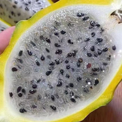 海南燕窝果 麒麟果高端水果 现摘先发 1箱/6个约3斤图5