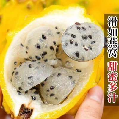海南燕窝果 麒麟果高端水果 现摘先发 1箱/6个约3斤图7