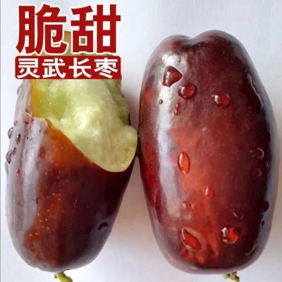 宁夏灵武长枣  新鲜脆甜 大红枣5斤/箱图3