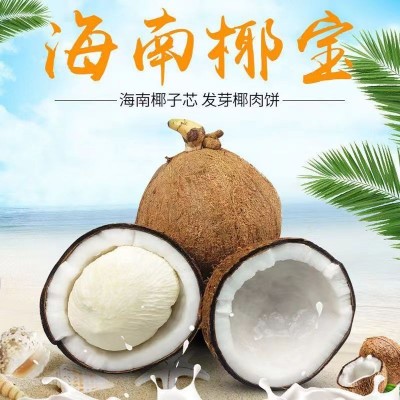 海南椰宝   4个/箱图4