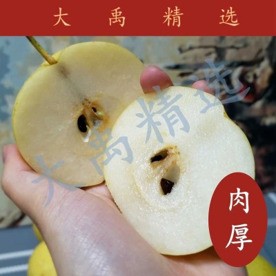 京白梨8斤/ 盒图2