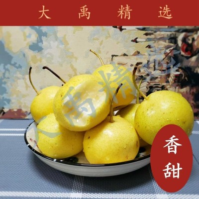 京白梨8斤/ 盒图6