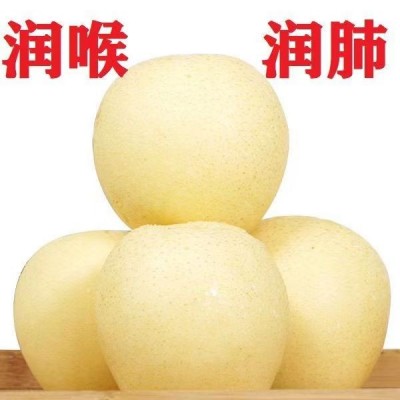 皇冠梨9-10斤/箱图4