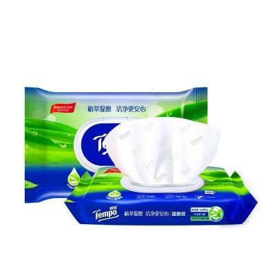 得宝芦荟湿厕纸40片*6包图3