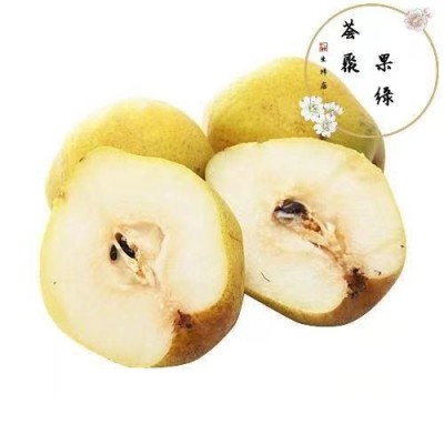 河北鸭广梨新鲜水果现采现发5斤/箱图4