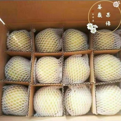河北鸭广梨新鲜水果现采现发5斤/箱图6