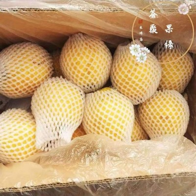 河北鸭广梨新鲜水果现采现发5斤/箱图7