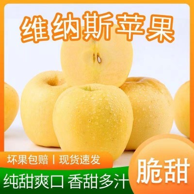 维纳斯黄金苹果 / 5斤盒装图5