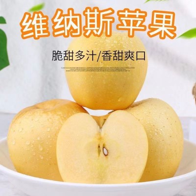 维纳斯黄金苹果 / 5斤盒装图2