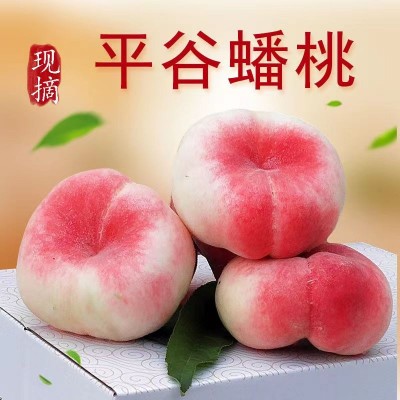 蟠桃5斤/箱图4