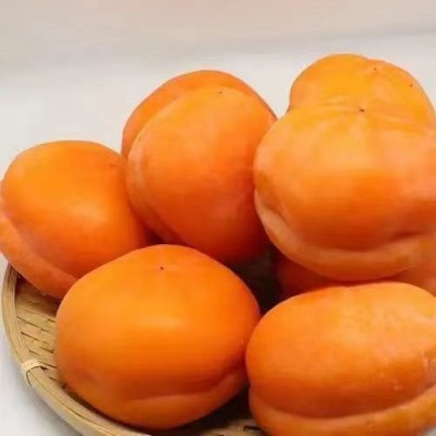 保定正宗磨盘柿子 10斤/箱图4