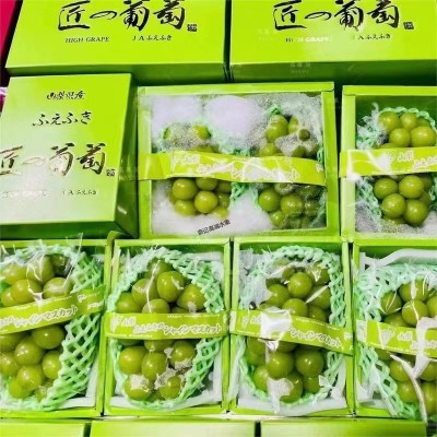 葡萄晴王礼盒阳光玫瑰2.5kg图5