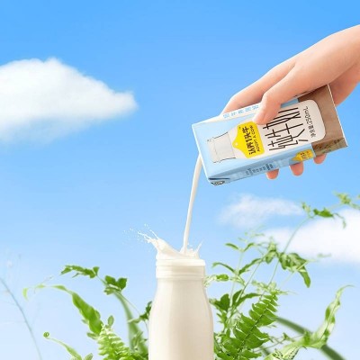 认养一头牛纯牛奶 250ml*12 (柳叶)图5
