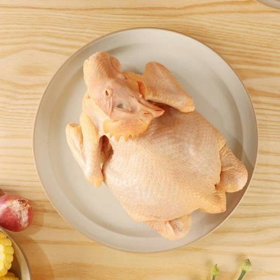 温氏跑步小土鸡650g 童子鸡土鸡 生鲜鸡肉/袋图3