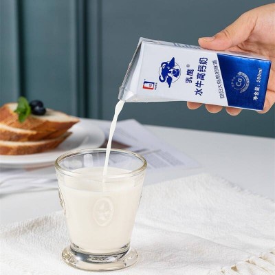 乳鹰高钙水牛奶 200ml*12盒 礼盒装图6